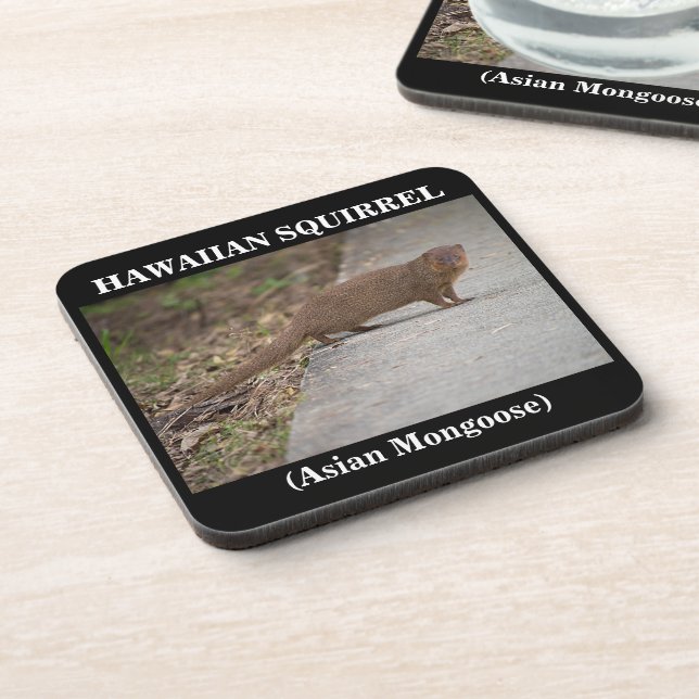 Dessous de verre en plastique Hawaiian Squirrel (m (Côté gauche)