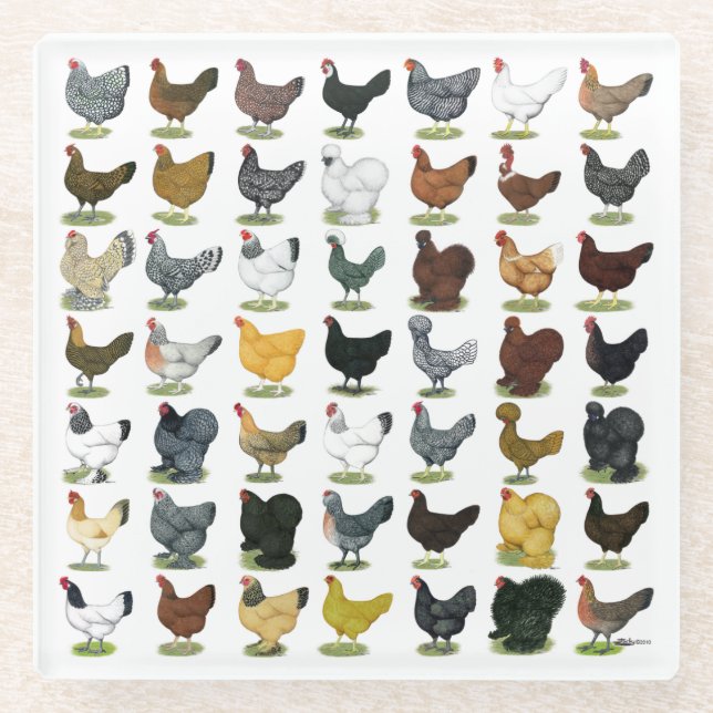 Dessous-de-verre En Verre 49 poules de poulet (Devant)