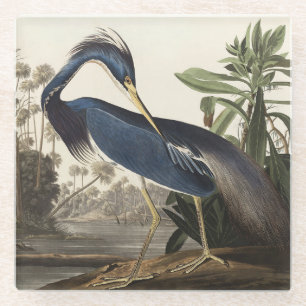 Dessous-de-verre En Verre Aigrette de Louisiane, oiseau, Art vintage d'Audub