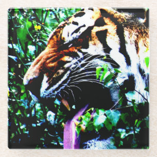 Dessous-de-verre En Verre Amur Tiger