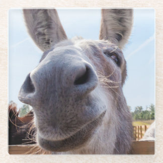 Dessous-de-verre En Verre Âne gris souriant comique