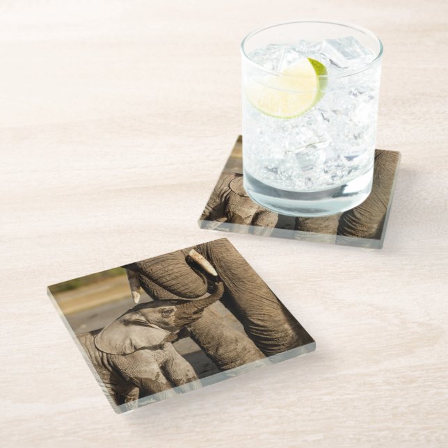 Dessous-de-verre En Verre Animaux de bébés cutest | Baby Elephant & Mama (Incliné)