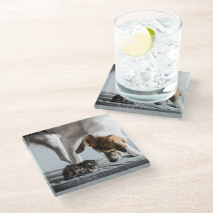 Dessous-de-verre En Verre Animaux de bébés cutest Baby Kitten & Dog
