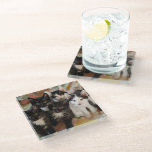 Dessous-de-verre En Verre Animaux de bébés cutest Chatons noirs et blancs
