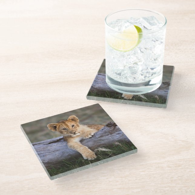 Dessous-de-verre En Verre Animaux de bébés cutest | Cute Lion Cub (Incliné)