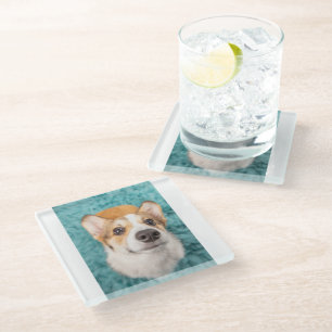 Dessous-de-verre En Verre Animaux de bébés cutest Sweet Corgi Puppy Face
