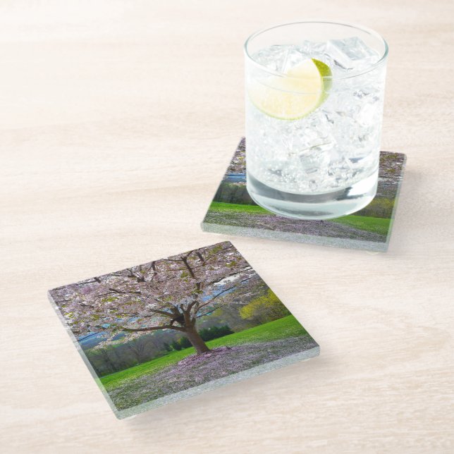 Dessous-de-verre En Verre Arbre fleuri rose cerisier avec bois (Incliné)