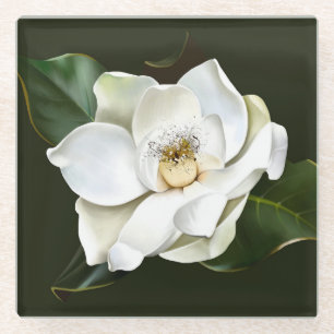 Dessous-de-verre En Verre Arrière - plan blanc Magnolia Closeup Vert
