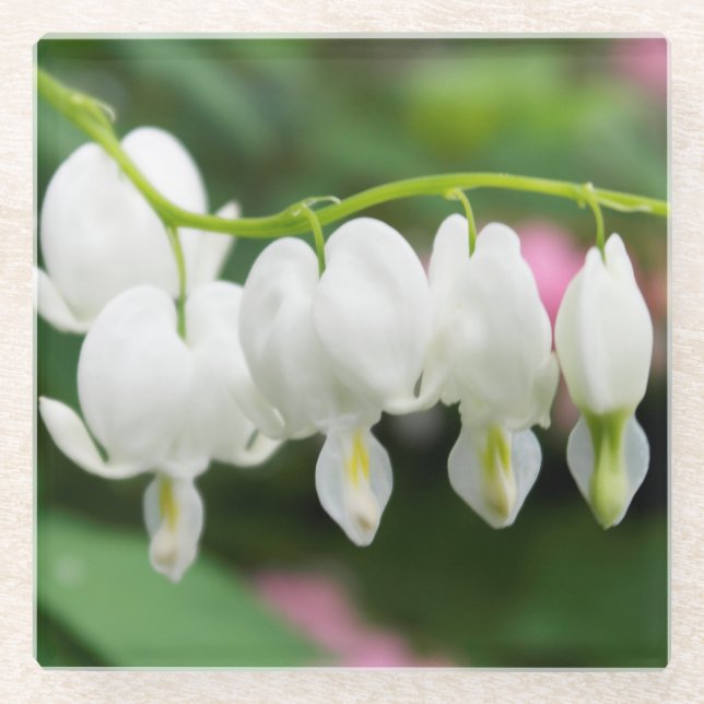 Dessous-de-verre En Verre Art original "de coeur blanc" par KAS (Devant)