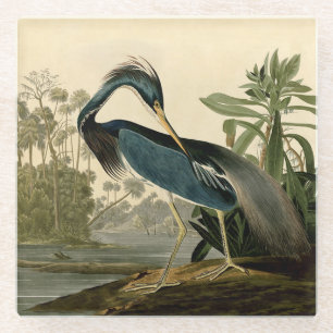 Dessous-de-verre En Verre Audubon Héron de Louisiane Oiseaux Amérique Art