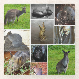 Dessous-de-verre En Verre Australian Wildlife Photo Collage,