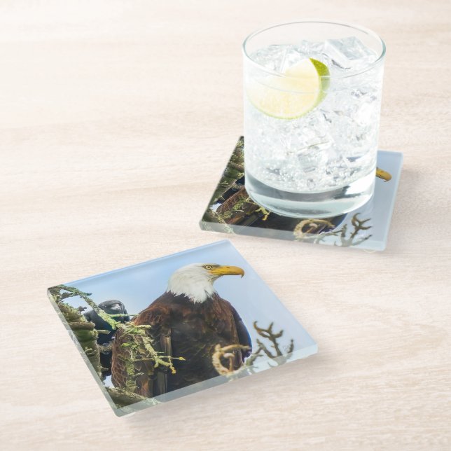 Dessous-de-verre En Verre Bald Eagle avec Crow Photobomb Drôle (Incliné)