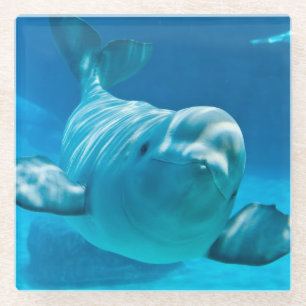 Dessous-de-verre En Verre Baleine de beluga