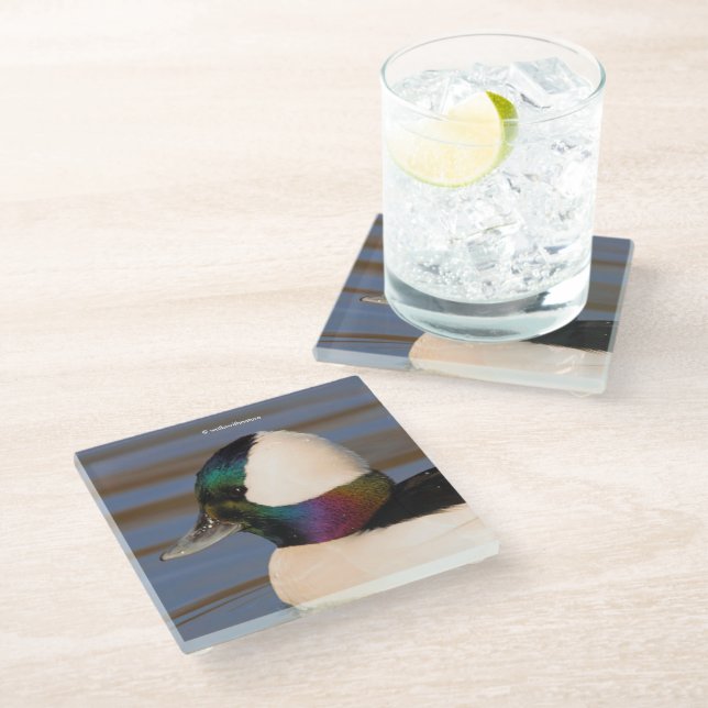 Dessous-de-verre En Verre Beau canard à tête de buffle dans le soleil de l'a (Incliné)