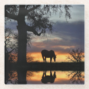 Dessous-de-verre En Verre Beau cheval et nature