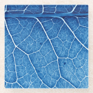 Dessous-de-verre En Verre Beau Plante Closeup Texture Arrière - plan