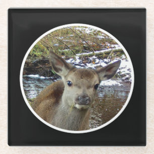 Dessous-de-verre En Verre Bébé Cerf Mignon Faon Adorable Scène Naturelle de 