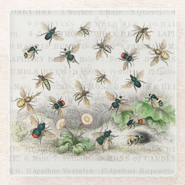 Dessous-de-verre En Verre Bee Honey Travailleur Queen Bees Antique (Devant)