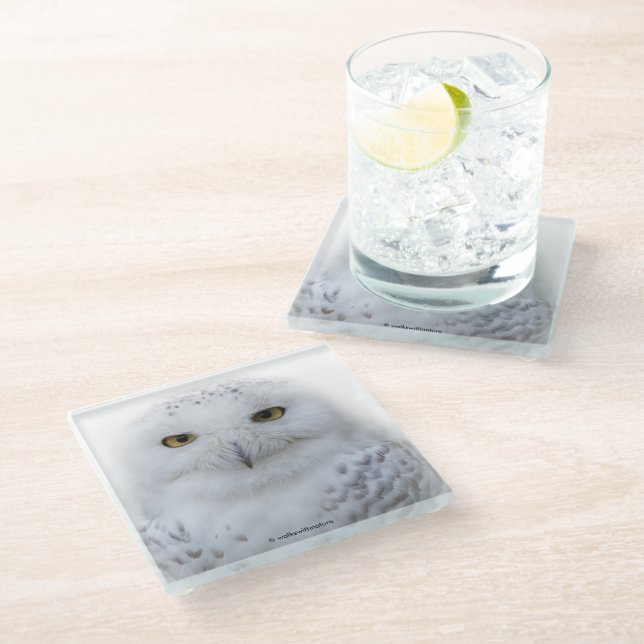 Dessous-de-verre En Verre Belle, Dreamy et Serene Snowy Owl (Incliné)