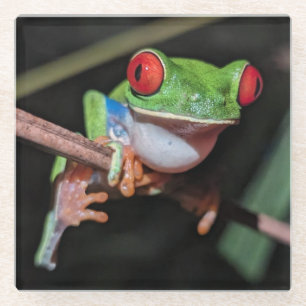 Dessous-de-verre En Verre Belle grenouille à arbre rouge sur une branche