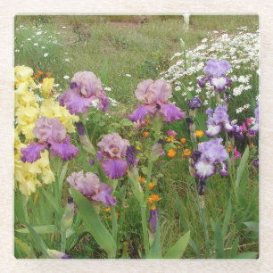 Dessous-de-verre En Verre Belle Iris Fleur violet Fleur Photo