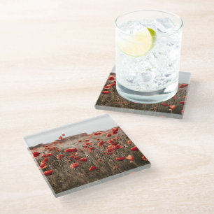 Dessous-de-verre En Verre belles fleurs de coquelicot