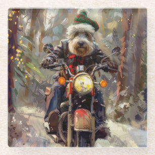 Dessous-de-verre En Verre Bernedoodle Chien équitation Moto Noël