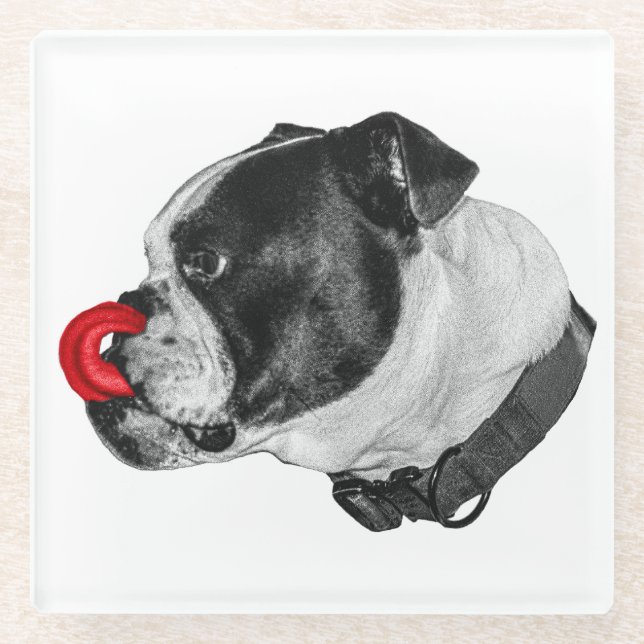Dessous-de-verre En Verre Bulldog Red Accent Coaster (Devant)
