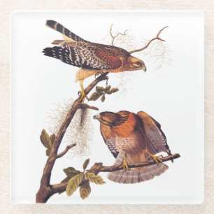 Dessous-de-verre En Verre Buse à épaulettes roux Audubon Oiseau de proie