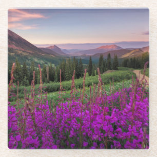 Dessous-de-verre En Verre Butte crêtée du lever de soleil   de fleur