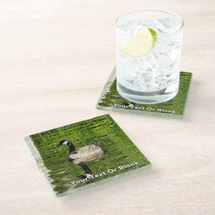 Dessous-de-verre En Verre (Canada) Oie verte