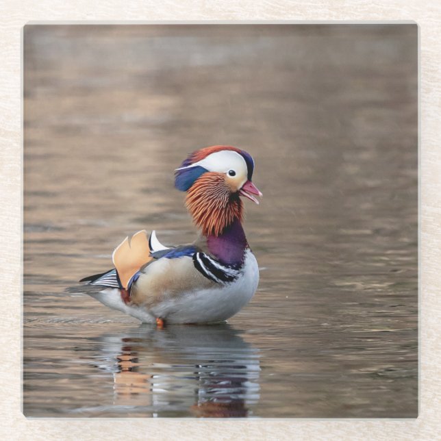 Dessous-de-verre En Verre Canard de Mandarin (Devant)