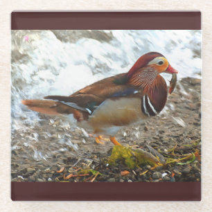 Dessous-de-verre En Verre Canard mandarin avec du poisson au lac