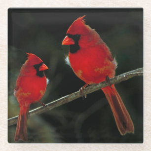 DESSOUS-DE-VERRE EN VERRE CARDINAL