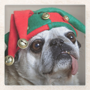 Dessous-de-verre En Verre Carlin de regard drôle avec la langue traînant