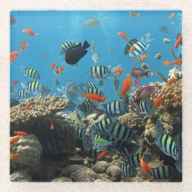 Dessous-de-verre En Verre Chaos tropical de poissons (Devant)
