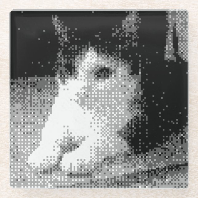 Dessous-de-verre En Verre chat pixélisé (Devant)