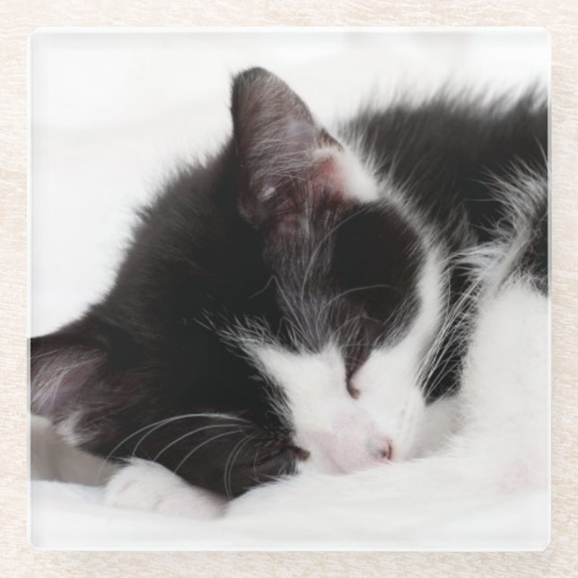 Dessous-de-verre En Verre Chaton de sommeil (Devant)