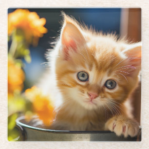 Dessous-de-verre En Verre Chaton doux joueur
