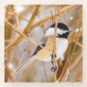 Dessous-de-verre En Verre Chickadee au plafond noir - Photo originale