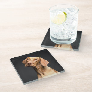 Dessous-de-verre En Verre Chien Beagle Brown animal