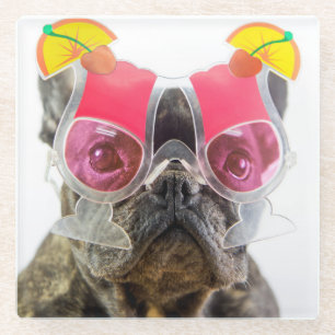 Dessous-de-verre En Verre Chien des images de Getty avec des verres de