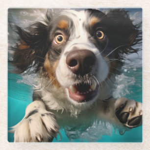Dessous-de-verre En Verre Chien Excité Nageant Sous L'eau Design