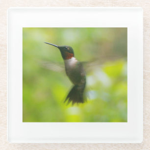 Dessous-de-verre En Verre Colibri à gorge rubis mâle