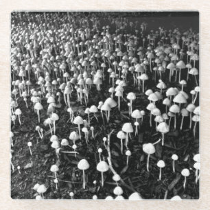 Dessous-de-verre En Verre Colonie des champignons noirs et blancs