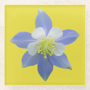 Dessous-de-verre En Verre Colonne 2