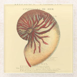 Dessous-de-verre En Verre Conque rouge vintage Shell