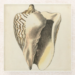 Dessous-de-verre En Verre Conque vintage Shell de sépia