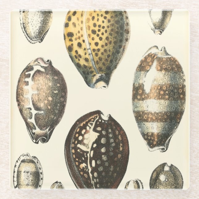 Dessous-de-verre En Verre Coquillages De Forme Unique (Devant)