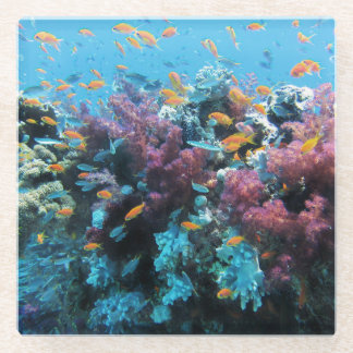 Dessous-de-verre En Verre Corail rose